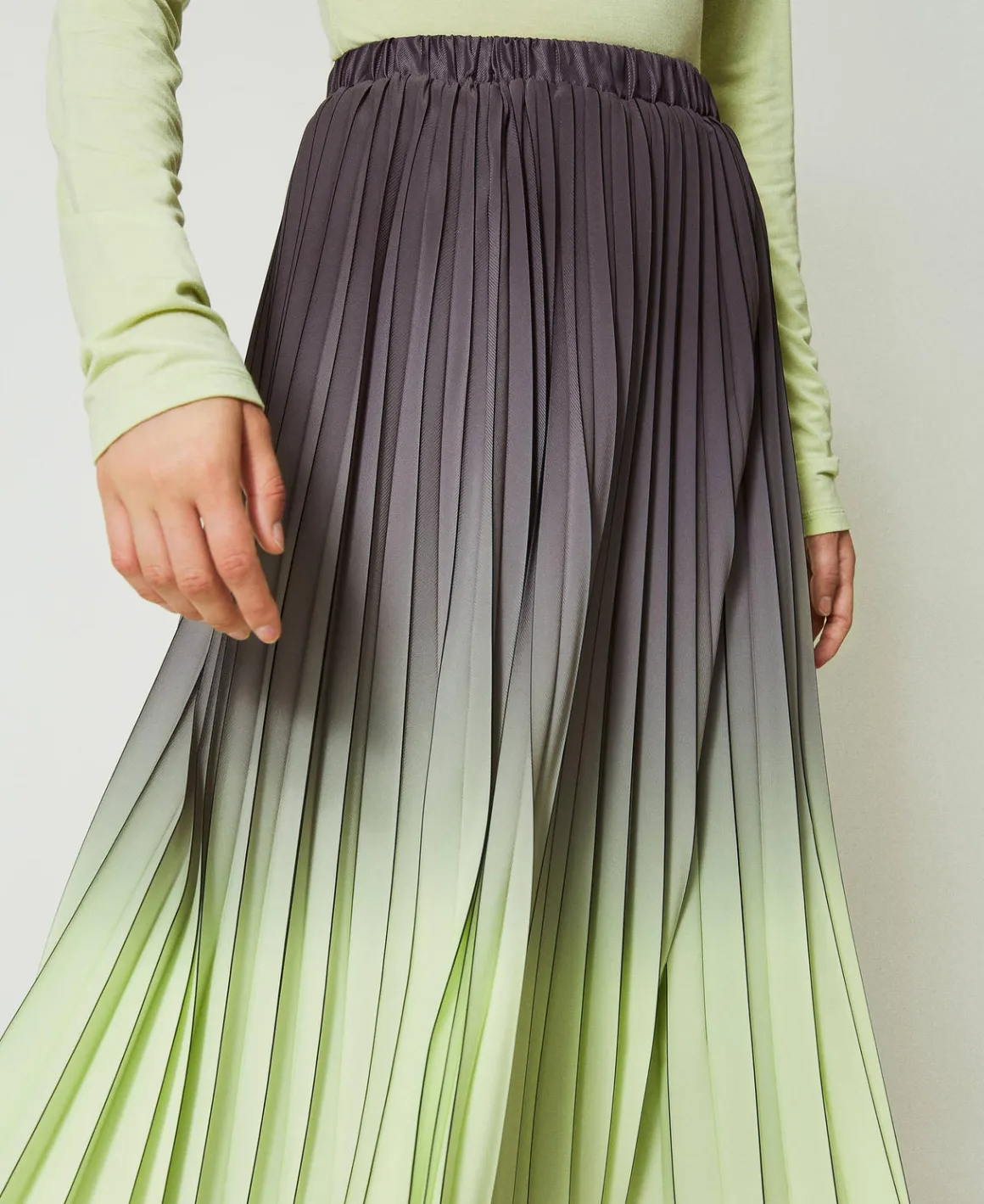 TWINSET Milano Gonna In Georgette Plissé Stampata | Gonne